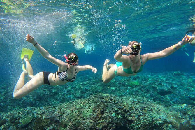 Snorkeling with Manta Rays in Their Habitat with Manta Point - Gear, GoPro handling, and how to get photos you’ll actually like