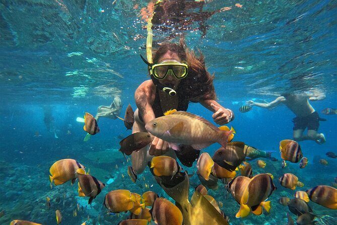 Snorkeling with Manta Rays in Their Habitat with Manta Point - Price and value: how $7.71 stacks up for a two-reef day