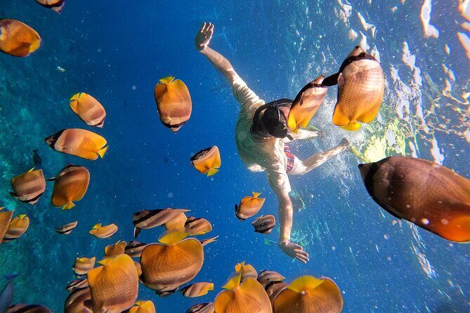 Snorkeling with Manta Rays in Their Habitat with Manta Point - Weather and wave reality at sea