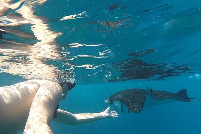 Snorkeling with Manta Rays in Their Habitat with Manta Point - Should you book this Manta Point and Crystal Bay snorkeling tour?