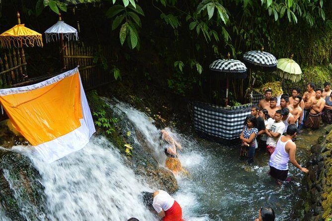 Spiritual Purification and Local Healer Visit Tour (ALL INCLUDED) - Gunung Kawi Sebatu Temple Purification: Holy Spring Water Time