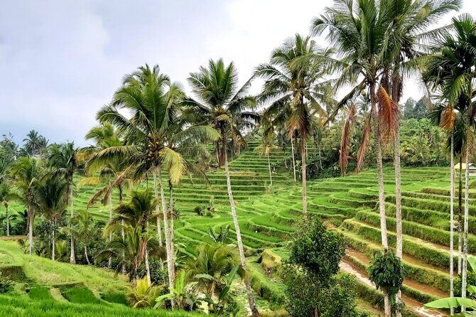 Tanah Lot and North Bali Private Tour - All inclusive - Leke Leke Waterfall: A Green Reset After Temples