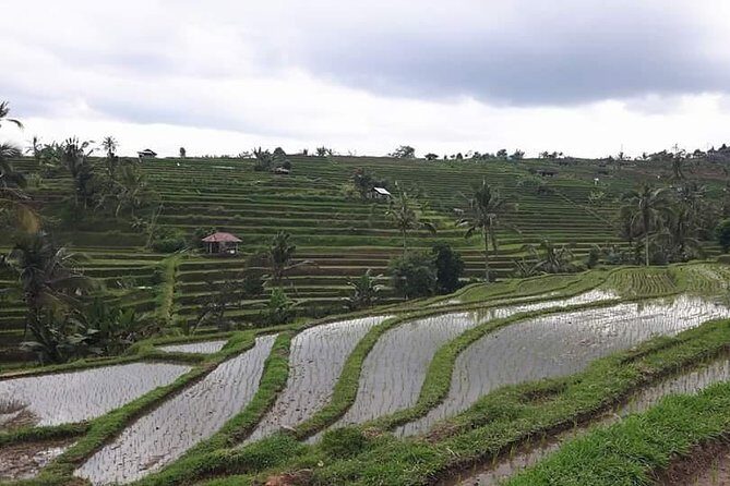 Tanah Lot and North Bali Private Tour - All inclusive - Timing, Pace, and What to Wear (Without Overplanning)