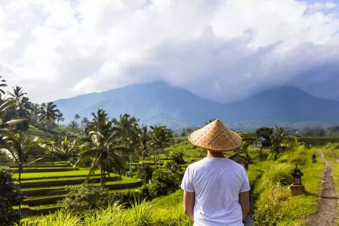 Tanah Lot, Jatiluwih Rice Terrace and Waterfall Day Tour - Banyumala Twin Waterfalls: a calmer break and the swim-or-not question
