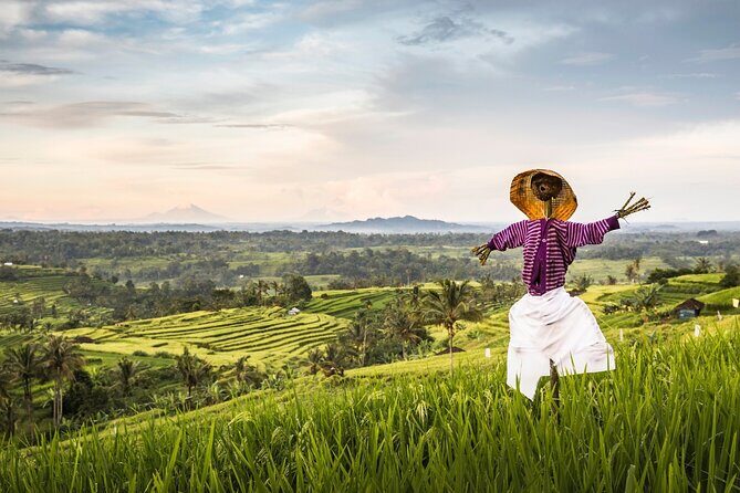 Tanah Lot, Jatiluwih Rice Terrace and Waterfall Day Tour - Ulun Danu Lake Beratan Temple: water goddess views and a peaceful ending