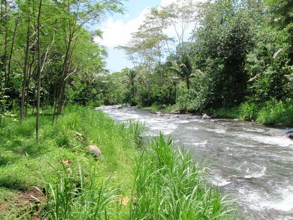 Telaga Waja Rafting Adventure: 3 Hours Rafting and All Inclusive - Key Highlights That Matter on the Day