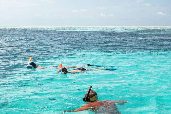 The Best 2-point Snorkeling in Padangbai: Blue lagoon and Tanjung jepun - Key things to know before you go (Tanjung Jepun + Blue Lagoon)