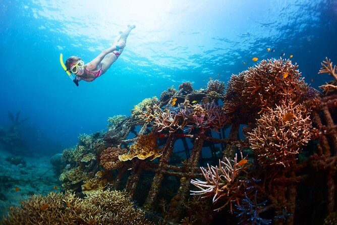 The Best 2-point Snorkeling in Padangbai: Blue lagoon and Tanjung jepun - Lunch timing at 11:00 am: plan for food you choose