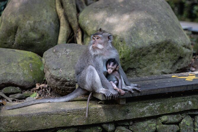 The Three Temples of Bali Half Day Private Tour - Taman Ayun Temple: the royal complex on its own small island