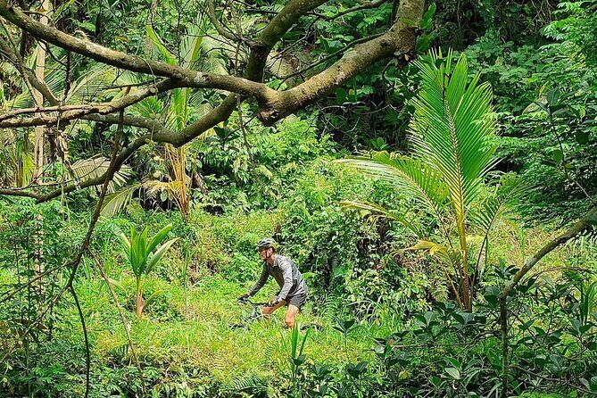 The Volcano Trail – Epic Volcano Cycling Adventure - Price and Value: What You’re Really Paying For