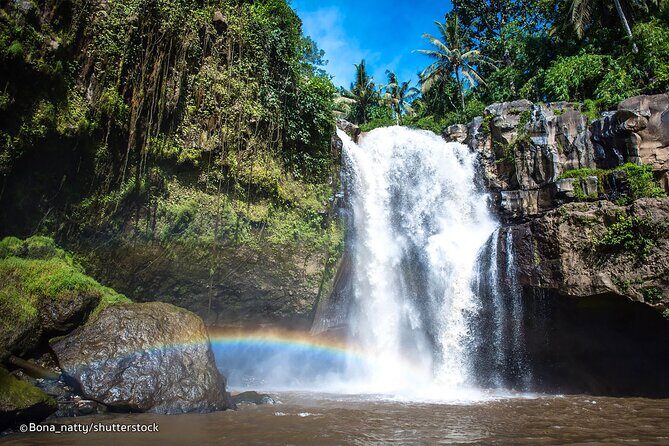 Three Main spot Bali Waterfall with Swing - Ubud Jungle Swing: optional thrill time with single and tandem choices