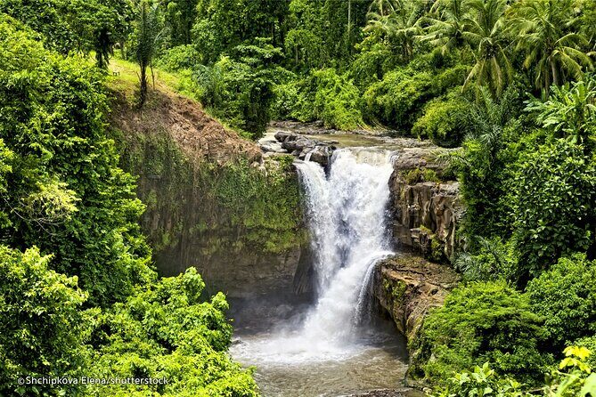 Three Main spot Bali Waterfall with Swing - Price and value: what $46 actually covers (and what doesn’t)