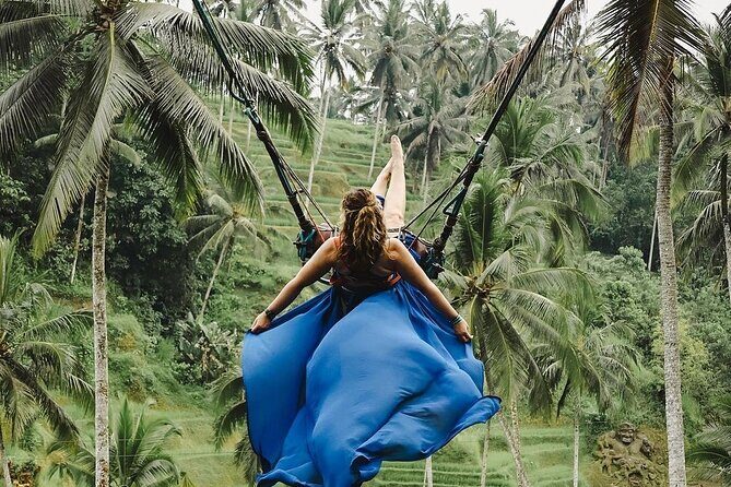 Tirta Empul temple, Jungle Swing and Waterfalls - Private Tour - Price and value: what $24.65 buys you in Ubud