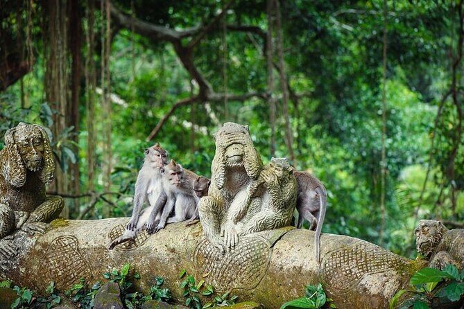 Top Ubud Attractions: Private Full-Day Guided Tour - Stop 4: Sacred Monkey Forest Sanctuary, the highlight people remember
