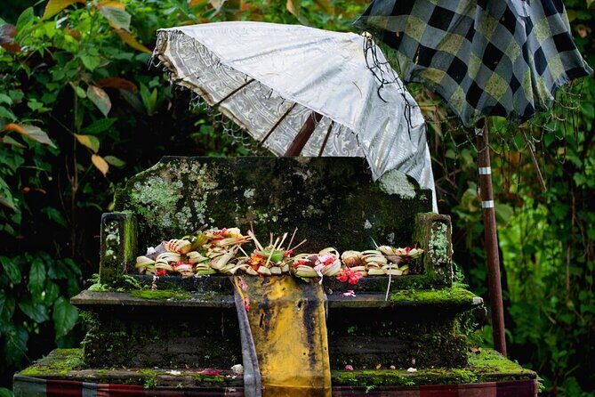 Transformative Journey of Holistic Self-Discovery - North Ubud’s Holistic Focus: What This Day Is Really About