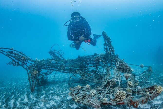 Try Dive Program in the Biorock Pemuteran - Key highlights you can plan around