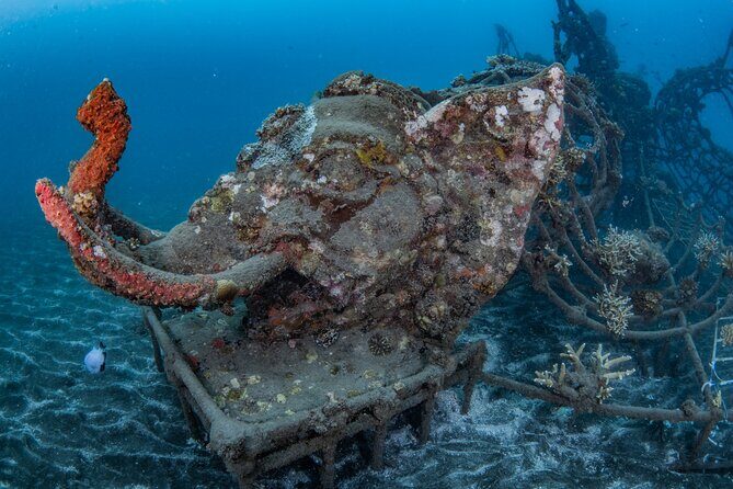 Try Dive Program in the Biorock Pemuteran - Equipment, towels, and included coffee/tea: the comfort stuff counts