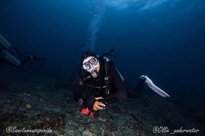 Try Scuba Diving for Beginners with manta rays (Non - Certified) - Two underwater sessions: how the day flows from training to manta rays