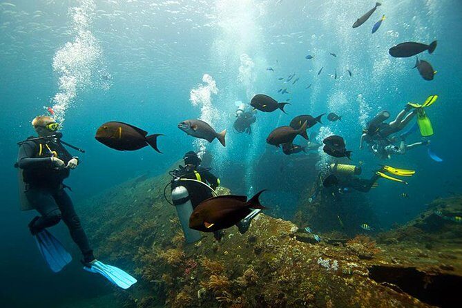 Tulamben Diving Tour Shipwreck USS Bali - Getting from your hotel in Bali to Tulamben takes time