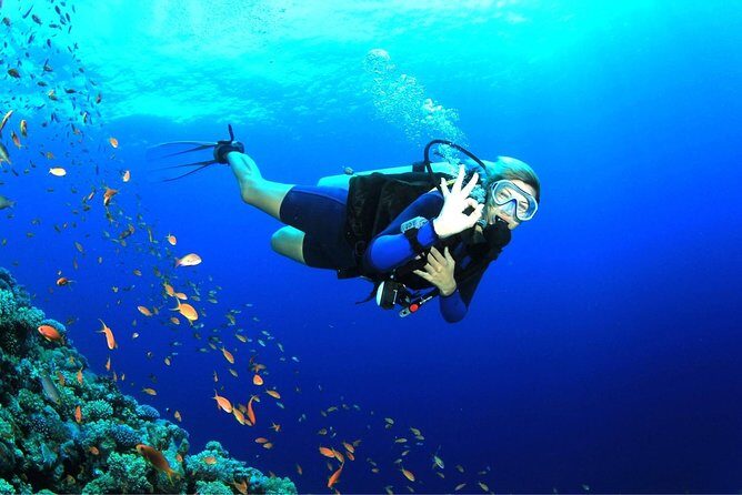 Tulamben Diving Tour Shipwreck USS Bali - Two 35-minute underwater sessions at Tulamben: what to expect