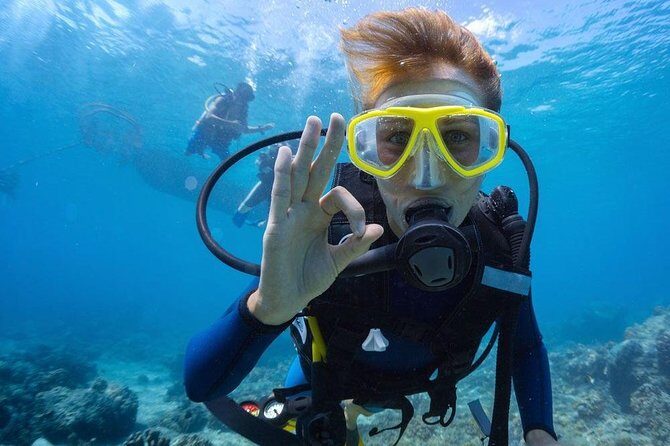 Tulamben Diving Tour Shipwreck USS Bali - Who should book this Tulamben USS Liberty day