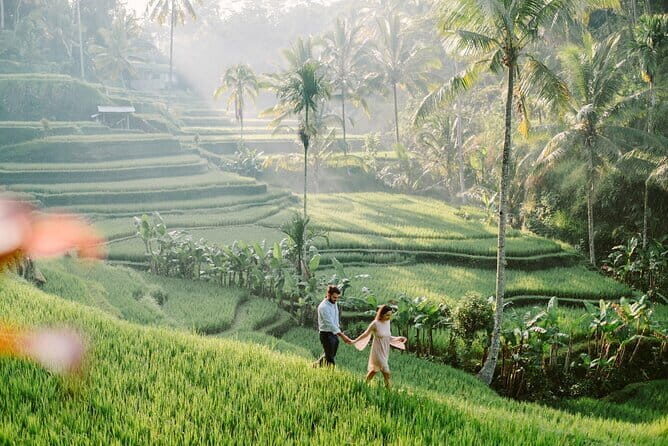 Ubud 1 Day Tour (Private & All-Inclusive) - Tegalalang Rice Terraces: classic Bali views with room to breathe