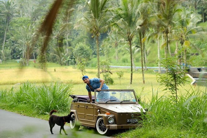 Ubud All-Inclusive Tour with Swing and Lunch - Lunch at D Alas Warung: Real Balinese Food in a Crafted Village-Style Setting