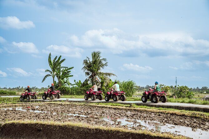 Ubud ATV Quad Bike with Infinity Pool Access All Inclusive - Automatic quad bikes and the safety briefing that keeps it fun