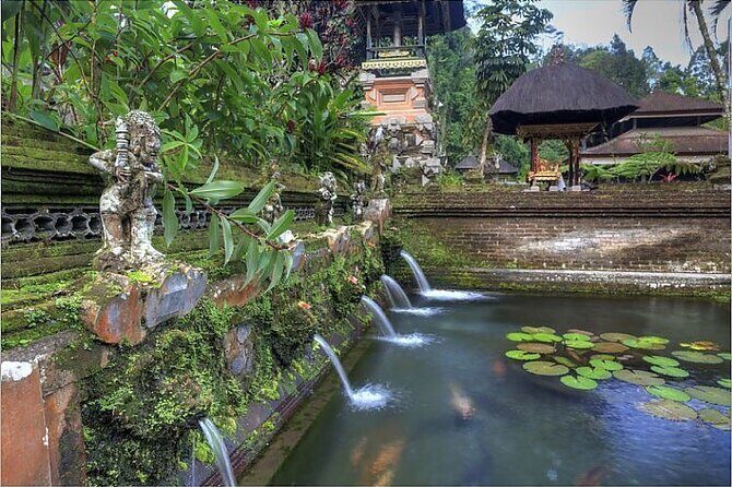Ubud Best Tour - Tegalalang Rice Terrace: viewpoints, photos, and time for the countryside