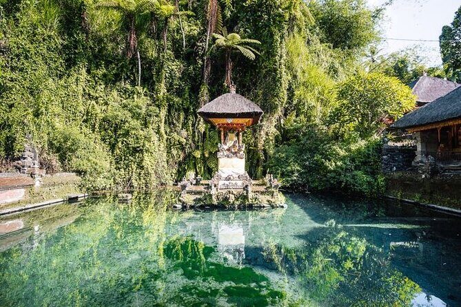Ubud Best Tour - Coffee plantation plus jungle swing and zip line options