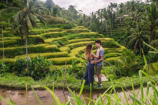 Ubud City Tour II: Monkey Forest, Palace, Art Market, and Rice Terrace - Monkey Forest Sanctuary: macaques, temple grounds, and photo time