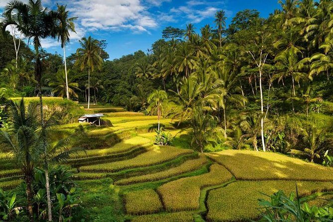 Ubud City Tour II: Monkey Forest, Palace, Art Market, and Rice Terrace - Ubud Traditional Art Market: souvenirs that actually match the local vibe