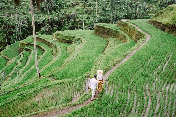 Ubud City Tour II: Monkey Forest, Palace, Art Market, and Rice Terrace - Tegalalang Rice Terrace: big views, and a donation if you trek
