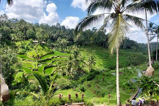 Ubud Customized Private Tour - Kanto Lampo Waterfall: a scenic pit stop with a story