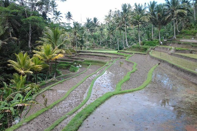 Ubud Customized Private Tour - Mount Batur in Kintamani: mountain-and-lake views plus time to breathe
