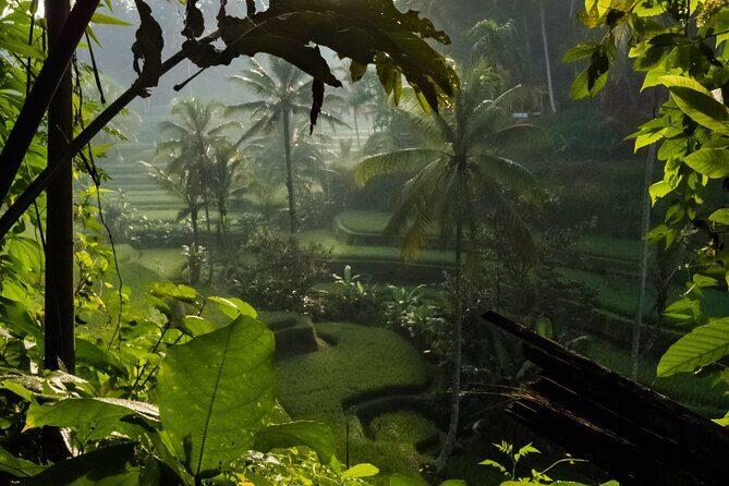 Ubud Day Tour - Top Things to do in Ubud + Local Ubud Guide - Pura Tirta Empul: holy springs and purification meaning
