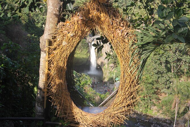 Ubud Day Tour - Top Things to do in Ubud + Local Ubud Guide - Sacred Monkey Forest Sanctuary: 12.5 hectares, about 700 macaques