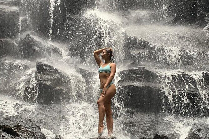 Ubud Day Tour : Waterfall, Temple and Local Night Market Tour - Price and value: why $21 can feel like a steal here