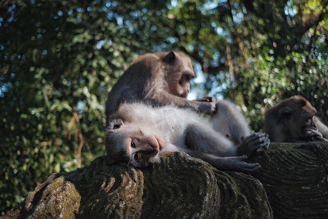 Ubud Excursion: Barong Dance, Art Villages, Nature, Temple and Waterfall - Kemenuh carving stop (and the Yana Art Gallery note)