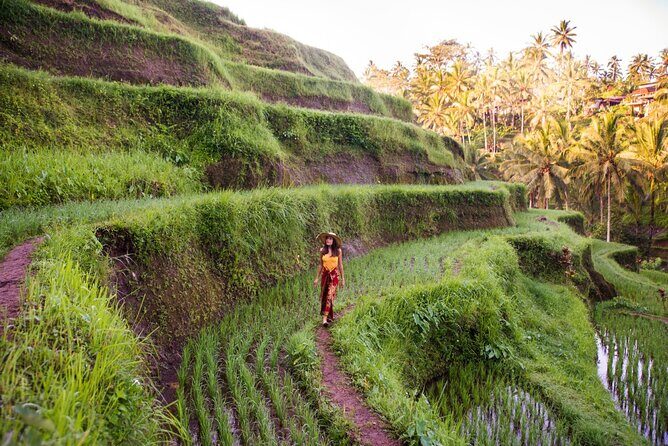 Ubud Full Day ATV Adventure with Rice Terrace and Temple Ritual - Price and value: what $85 really buys you