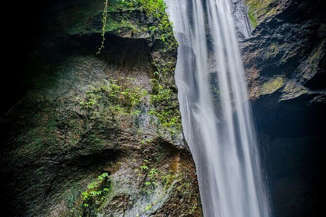 Ubud Hidden Gems Waterfalls and Private tour - Tegallalang Rice Terrace: UNESCO Views, Footsteps, and Cool Air