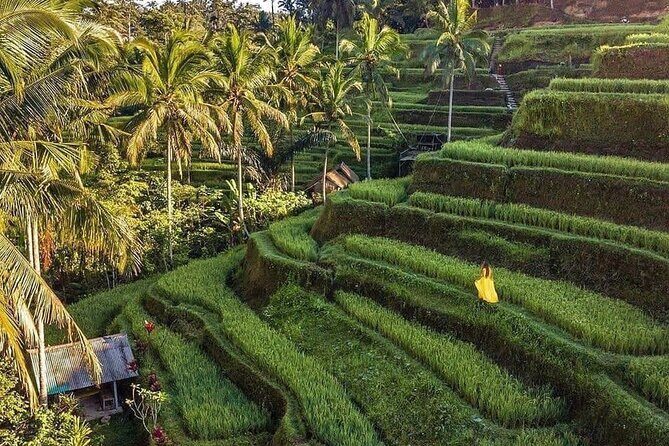 Ubud Hidden Waterfalls and Rice Terrace Tours - Stop 2: Tibumana Waterfall for a Green Forest Swim Moment