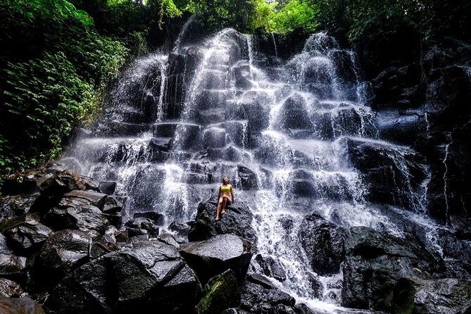 Ubud Highlight: Best of Ubud Private Day Tour with Local Guide - Tirta Empul Temple: Sacred Water Cleansing With Sarong Included