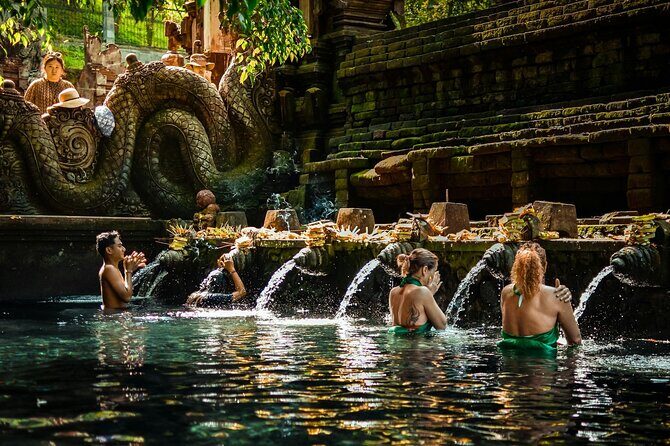 Ubud Highlight: Best of Ubud Private Day Tour with Local Guide - Sacred Monkey Forest Sanctuary: Planning Your Hour Around the Wildlife