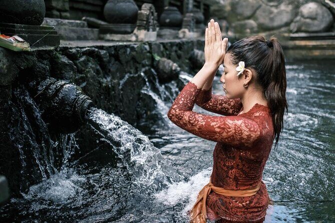Ubud Highlights Rice Terraces, Temple, Waterfall & Monkeys forest - Key highlights at a glance