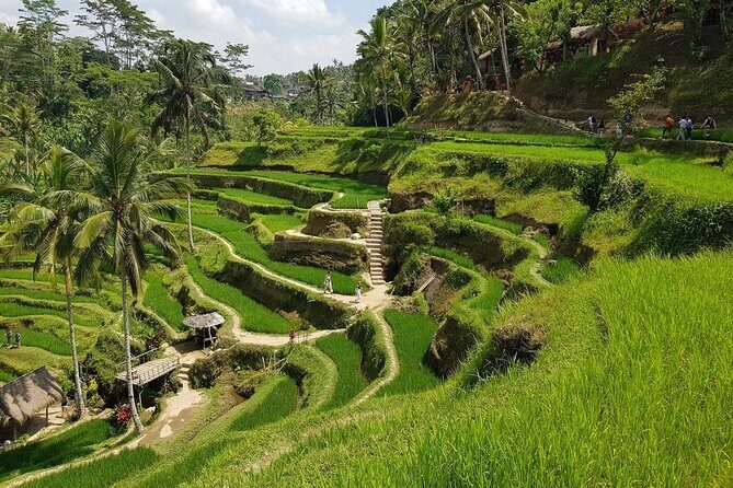 Ubud Highlights Rice Terraces, Temple, Waterfall & Monkeys forest - Sacred Monkey Forest Sanctuary: Temples and Fast-Moving Friends
