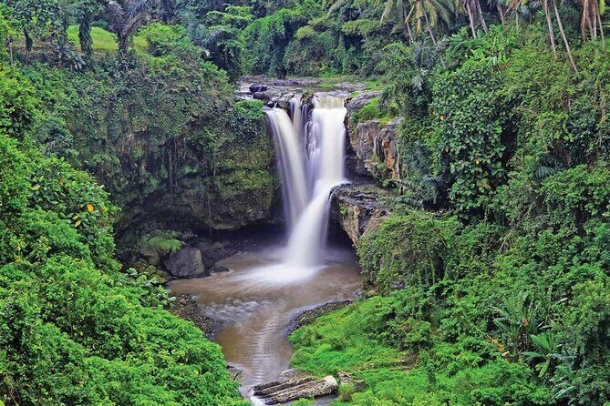 Ubud Highlights Rice Terraces, Temple, Waterfall & Monkeys forest - Tegalalang Rice Terraces: Photograph the Layers
