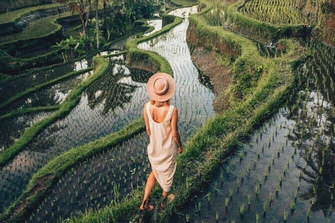 Ubud Highlights Shared Tour – Small Group Full-Day Experience - Value and pacing: what you’re paying for