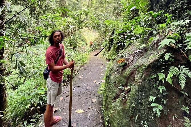 Ubud Highlights Shared Tour – Small Group Full-Day Experience - Tegalalang Rice Terrace: where the walking is the point