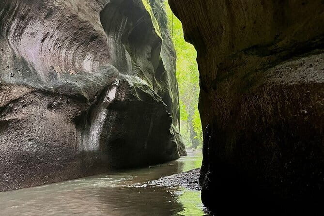 Ubud Highlights Shared Tour – Small Group Full-Day Experience - Goa Raja Waterfall: calmer, cave-like rock formation vibes